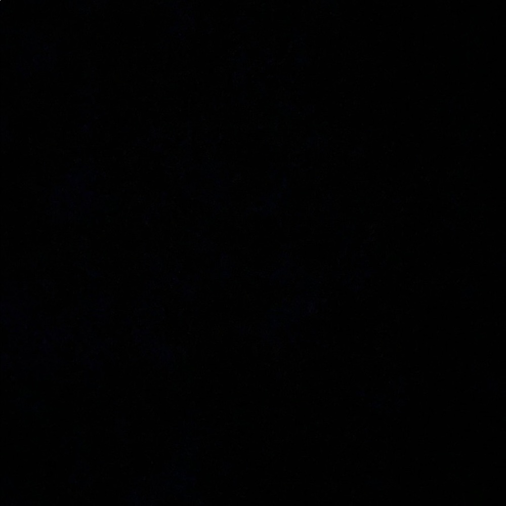 Meet your Posher, Anne